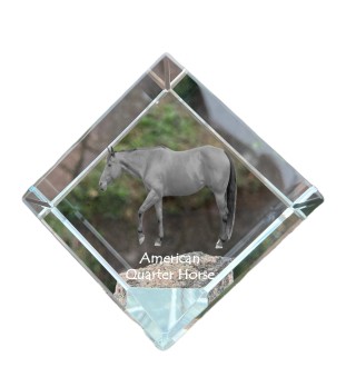 Quarter Horse américain - un cube de cristal avec une photo de cheval, une photo de cheval dans le cristal, un presse-papiers cubique de la marque Art-Dog