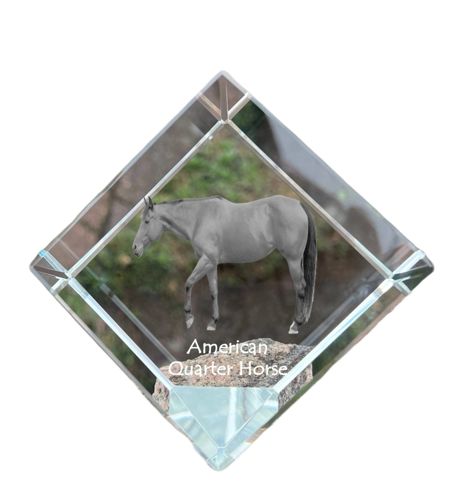 American Quarter Horse - crystal cube with a horse picture, horse picture in crystal, cubic paperweight from Art-Dog brand