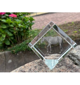 Quarter Horse américain - un cube de cristal avec une photo de cheval, une photo de cheval dans le cristal, un presse-papiers cubique de la marque Art-Dog