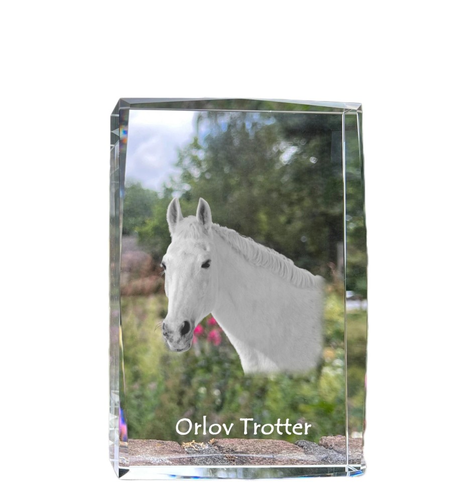 Trotteur Orlov - cristal avec une photo de cheval, photo sous verre, exposition moderne de la marque de photos Art-Dog