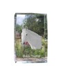 Trotteur Orlov - cristal avec une photo de cheval, photo sous verre, exposition moderne de la marque de photos Art-Dog