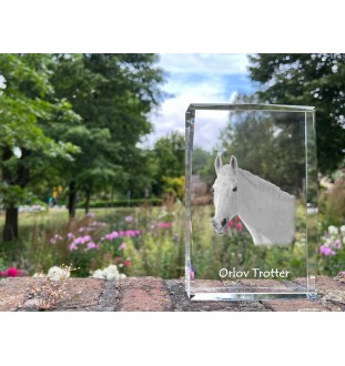 Orlow-Trotter - Kristall mit einem Pferdebild, Bild im Glas, moderne Ausstellung des Art-Dog-Bildes.