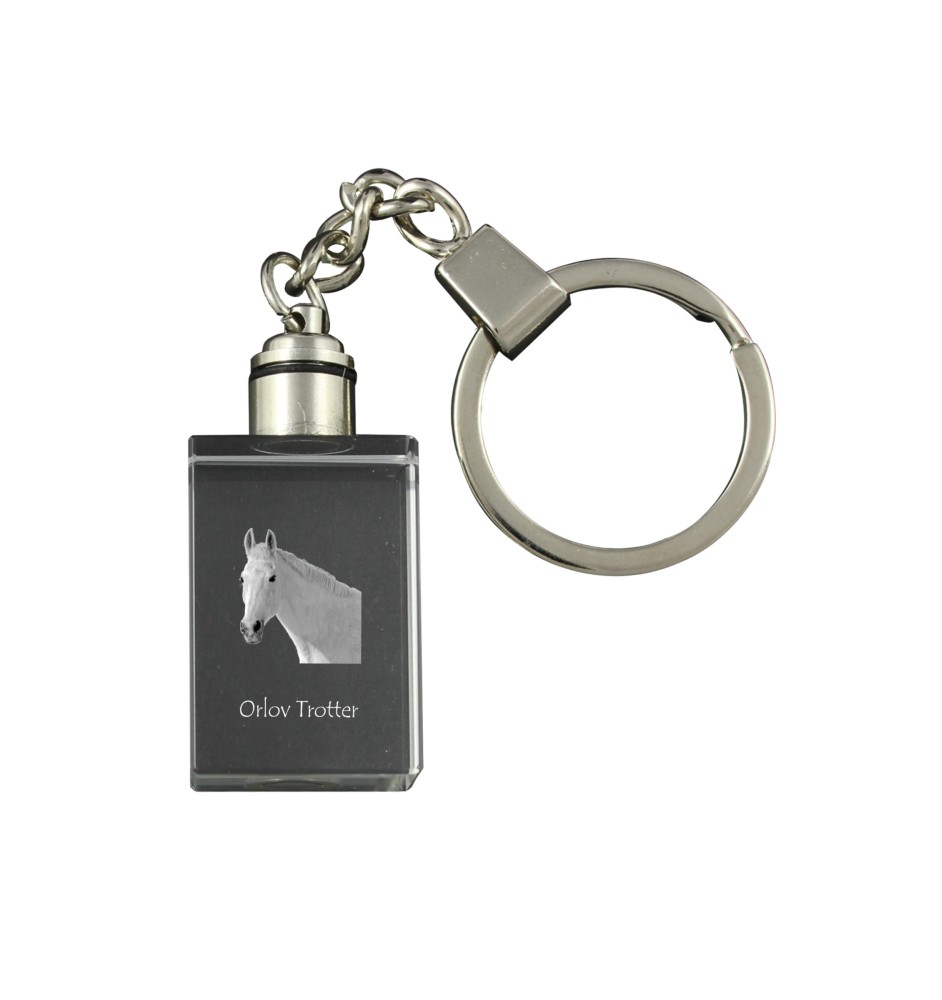 Orlov Trotter - Crystal pendant with photo of a horse, illuminated pendant, unique gift by Art-Dog brand