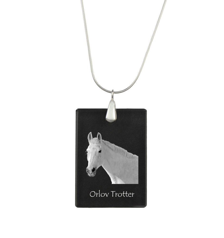 Orlov Trotter - Crystal pendant with horse, silver necklace with photo, personalised pendant by Art-Dog brand