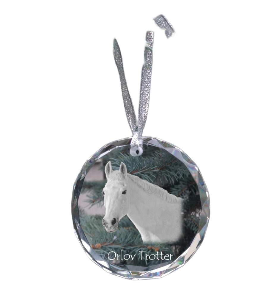 Orlow-Trotter - Kristallkugel mit einem Foto, Pferdefoto im Kristall, personalisierter Weihnachtsbaumanhänger von der Marke Art-Dog