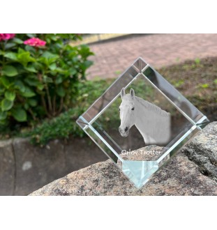 Orlow-Trotter - Kristallwürfel mit Pferdebild, Pferdebild im Kristall, sechseckiger Papierclip der Marke Art-Dog