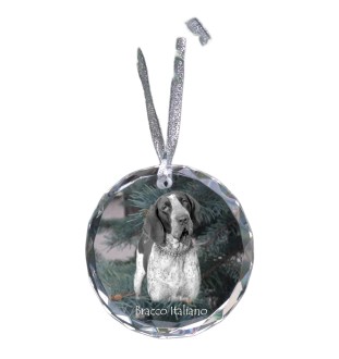 Wyżeł włoski krótkowłosy medal kryształowy z psem Art-Dog