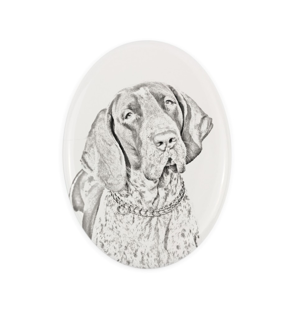 Italienischer Vorstehhund, Bracco Italiano - Gedenktafel mit einem Foto eines Hundes, Grabplatte mit Druck, personalisierte ovale Platte der Marke Art-Dog