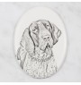 Italian Pointing Dog, Bracco Italiano, Italian Pointer - commemorative plaque with a photo of a dog, tombstone with a print, personalized oval plaque from the Art-Dog brand