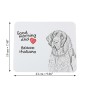 Italienischer Vorstehhund, Bracco Italiano - Mauspad mit Druck, personalisiertes Mauspad mit Hund, einzigartiges Gadget für Büroangestellte von Art-Dog.