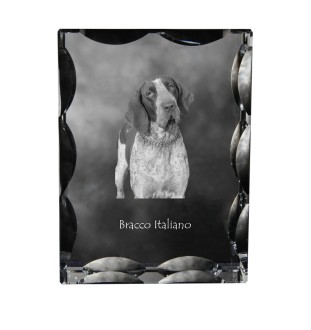 Italian Pointing Dog, Bracco Italiano, Italian Pointer - crystal with a picture of a dog, glass statuette with a picture, unique frame with a picture from Art-Dog brand