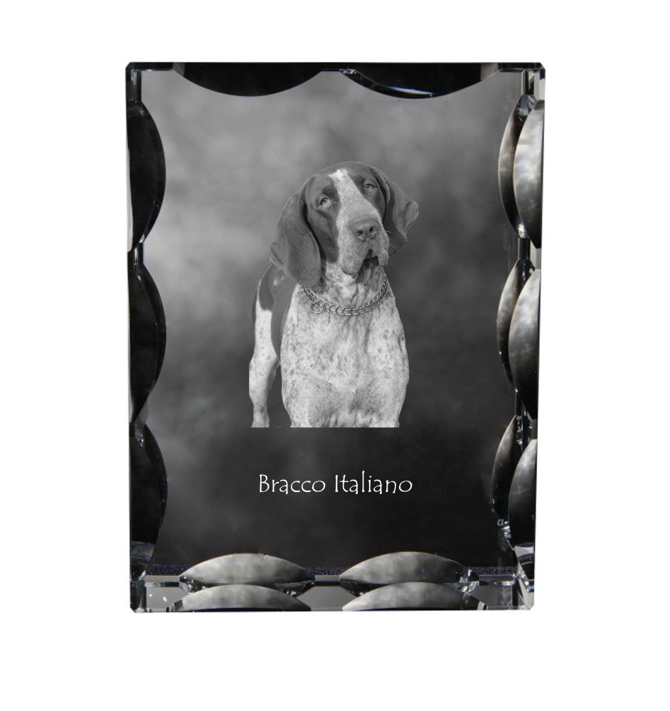 Braque italien - cristal avec photo de chien, statuette en verre avec photo, cadre exceptionnel avec photo de la marque Art-Dog