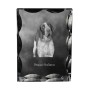 Italian Pointing Dog, Bracco Italiano, Italian Pointer - crystal with a picture of a dog, glass statuette with a picture, unique frame with a picture from Art-Dog brand