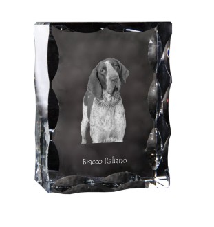 Braque italien - cristal avec photo de chien, statuette en verre avec photo, cadre exceptionnel avec photo de la marque Art-Dog