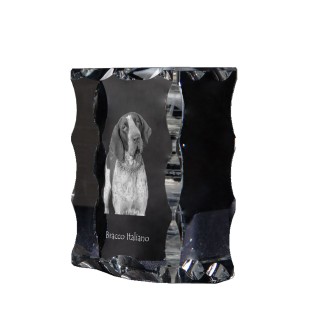 Italienischer Vorstehhund, Bracco Italiano - Kristall mit einem Hundebild, Glasstatuette mit einem Bild, einzigartiger Bilderrahmen der Marke Art-Dog