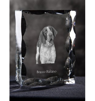 Braque italien - cristal avec photo de chien, statuette en verre avec photo, cadre exceptionnel avec photo de la marque Art-Dog