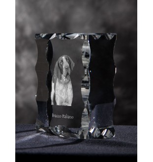 Italian Pointing Dog, Bracco Italiano, Italian Pointer - crystal with a picture of a dog, glass statuette with a picture, unique frame with a picture from Art-Dog brand
