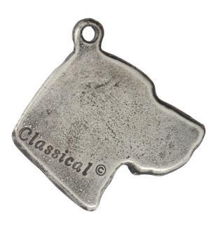 Vizsla, Braque hongrois à poil court - collier avec un chien, pendentif en plaqué argent pour les fans de chiens, bijoux uniques de la marque Art-Dog