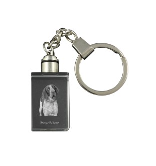 Braque italien - Porte-clés en cristal avec photo de chien, porte-clés lumineux, cadeau unique de la marque Art-Dog