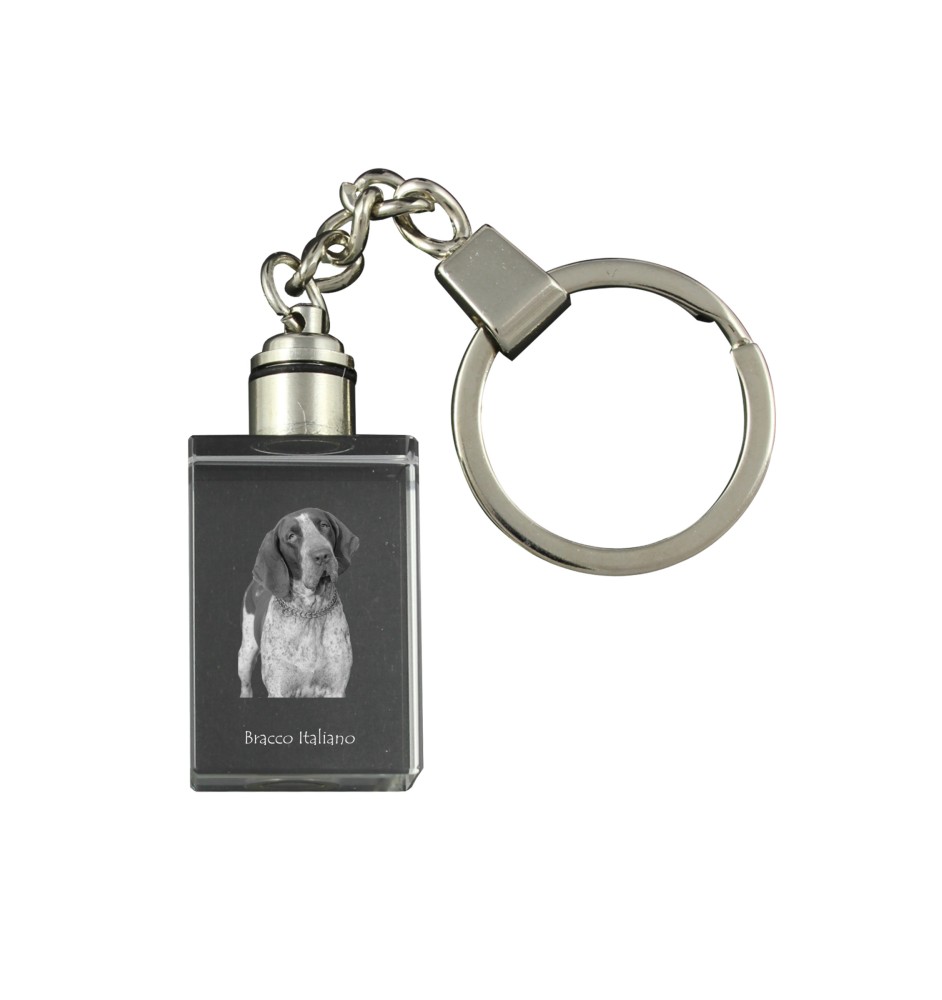 Braque italien - Porte-clés en cristal avec photo de chien, porte-clés lumineux, cadeau unique de la marque Art-Dog