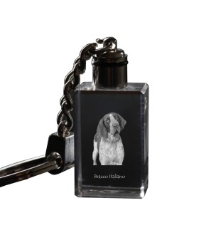 Braque italien - Porte-clés en cristal avec photo de chien, porte-clés lumineux, cadeau unique de la marque Art-Dog