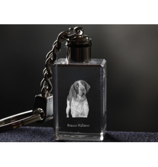 Italienischer Vorstehhund, Bracco Italiano - Schlüsselanhänger aus Kristall mit Hundefoto, beleuchteter Schlüsselanhänger, einzigartiges Geschenk der Marke Art-Dog