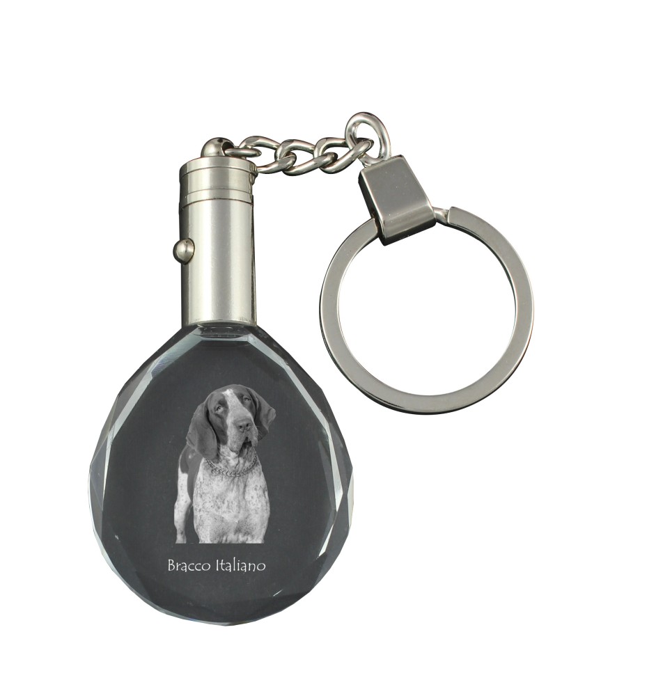 Braque italien - pendentif avec une photo de chien, porte-clés en cristal dans une boîte cadeau, un cadeau unique par Art-Dog