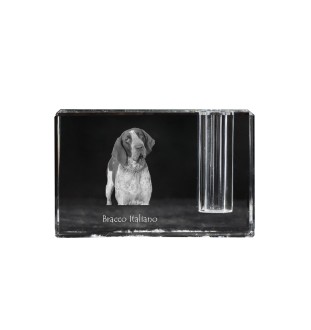 Italian Pointing Dog, Bracco Italiano, Italian Pointer - Pen stand, crystal organiser with dog photo, unique desk decoration by Art-Dog brand