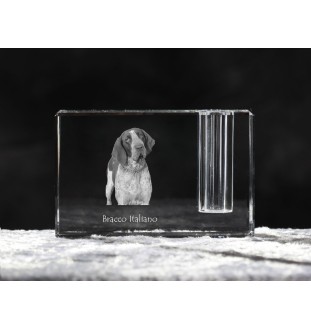 Italian Pointing Dog, Bracco Italiano, Italian Pointer - Pen stand, crystal organiser with dog photo, unique desk decoration by Art-Dog brand