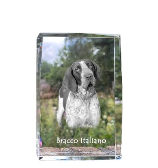 Braque italien - cristal avec une photo de chien, photo sous verre, exposition moderne de la marque de photos Art-Dog