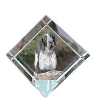Italienischer Vorstehhund, Bracco Italiano - Kristallwürfel mit Bild, Pferdebild im Kristall, sechseckiger Papierclip der Marke Art-Dog