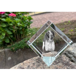 Wyżeł włoski krótkowłosy kostka kryształowa z psem Art-Dog