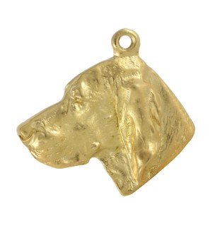 Vizsla, Braque hongrois à poil court - porte-clés et collier avec chien dans une boîte, produit plaqué or de haute qualité, marque Art-Dog