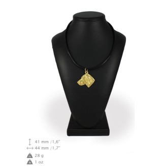 Vizsla, Braque hongrois à poil court - porte-clés et collier avec chien dans une boîte, produit plaqué or de haute qualité, marque Art-Dog