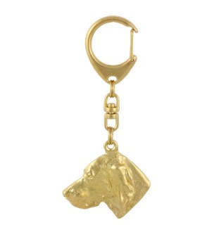Vizsla, Braque hongrois à poil court - porte-clés et collier avec chien dans une boîte, produit plaqué or de haute qualité, marque Art-Dog