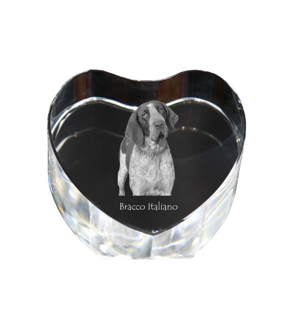 Italian Pointing Dog, Bracco Italiano, Italian Pointer - a photo of a dog in crystal, crystal heart, unique photo frame from the Art-Dog brand