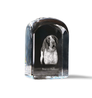 Braque italien - un cube de cristal avec une photo, une photo de chien dans le cristal, un presse-papiers cubique de la marque Art-Dog