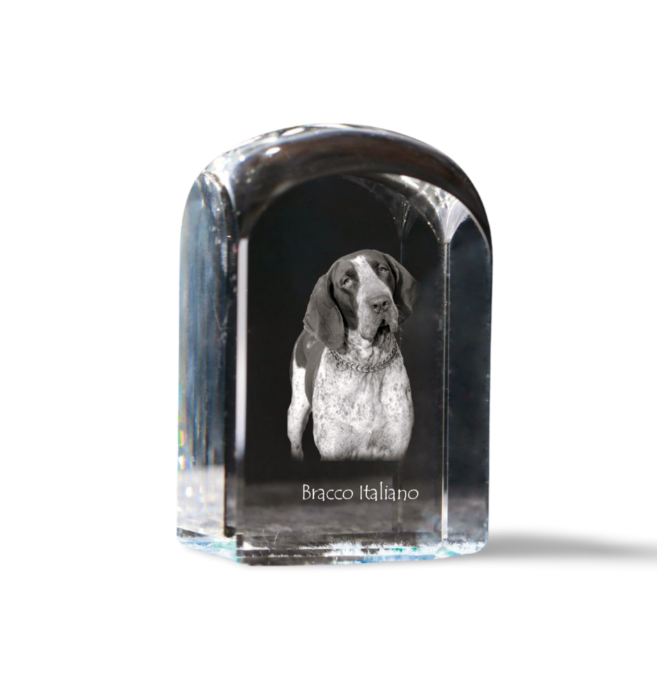 Braque italien - un cube de cristal avec une photo, une photo de chien dans le cristal, un presse-papiers cubique de la marque Art-Dog
