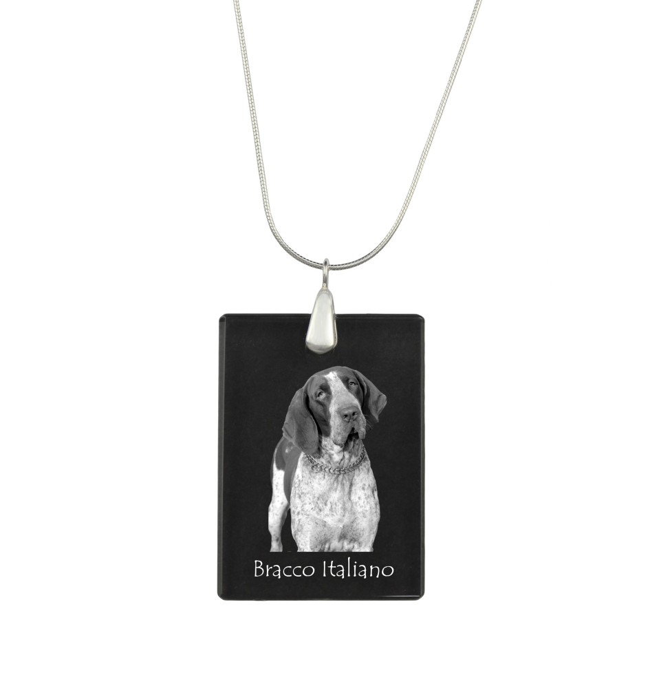 Italienischer Vorstehhund, Bracco Italiano - Kristallanhänger mit Hund, Silberhalskette mit Foto, personalisierter Anhänger der Marke Art-Dog
