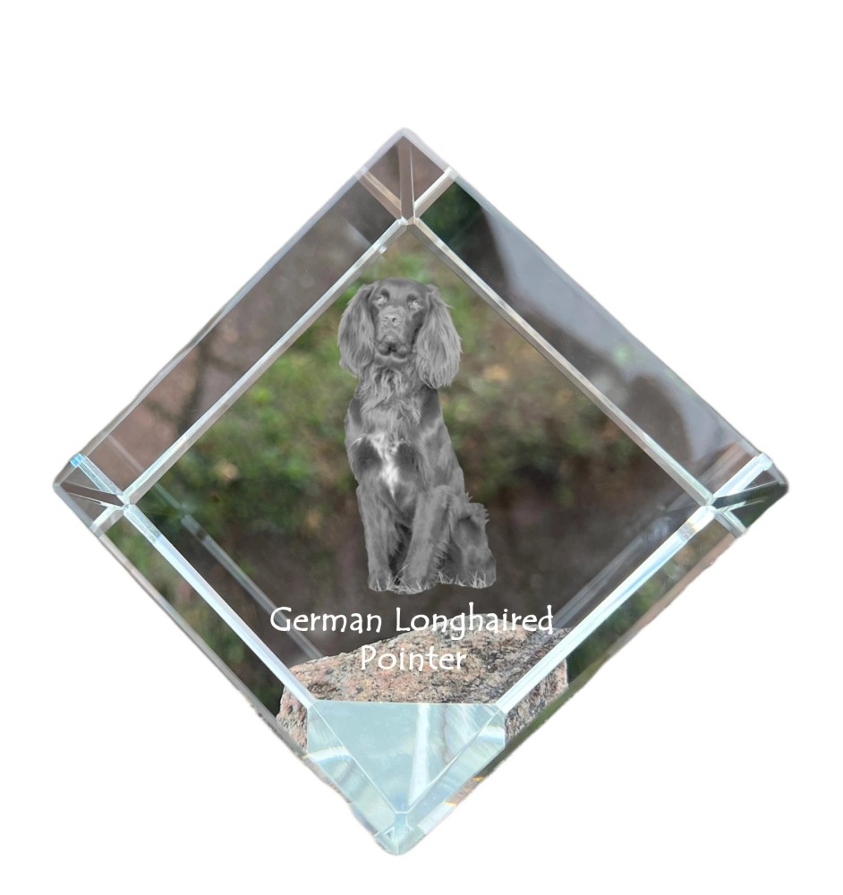 German Shorthaired Pointer - crystal cube with a photo, photo of a horse in crystal, cubic paperweight from Art-Dog brand