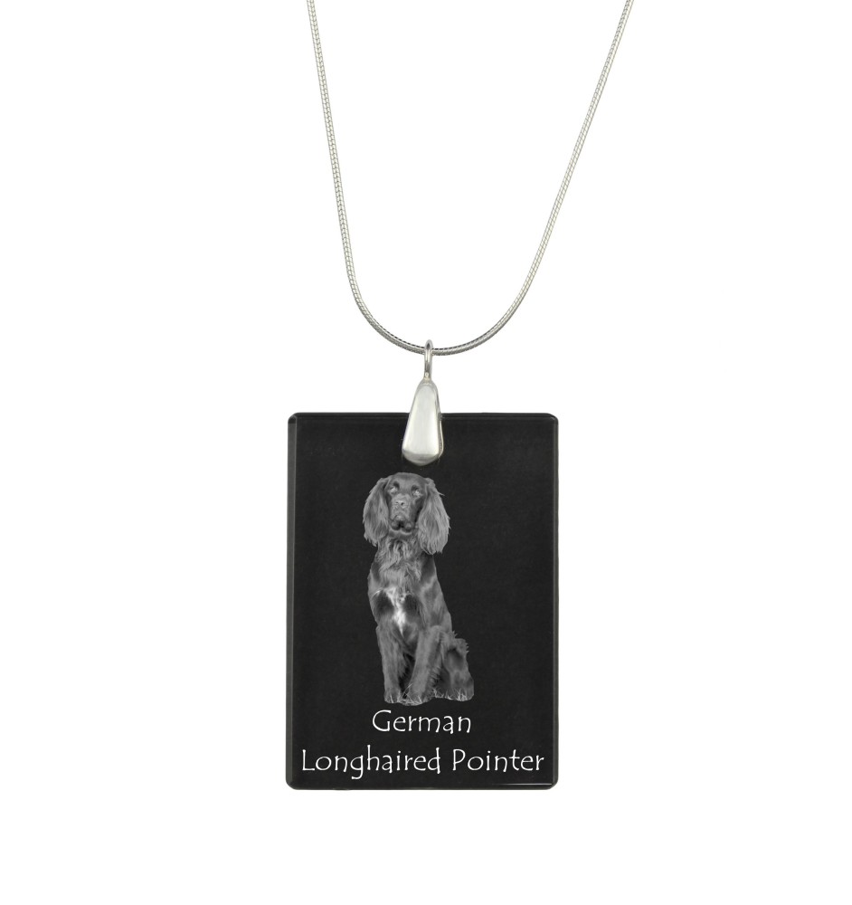 Braque allemand à poil court - Pendentif en cristal avec chien, collier en argent avec photo, pendentif personnalisé par la marque Art-Dog