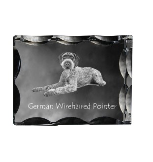 German Wirehaired Pointer - crystal with a picture of a dog, glass statuette with a picture, unique frame with a picture from Art-Dog brand