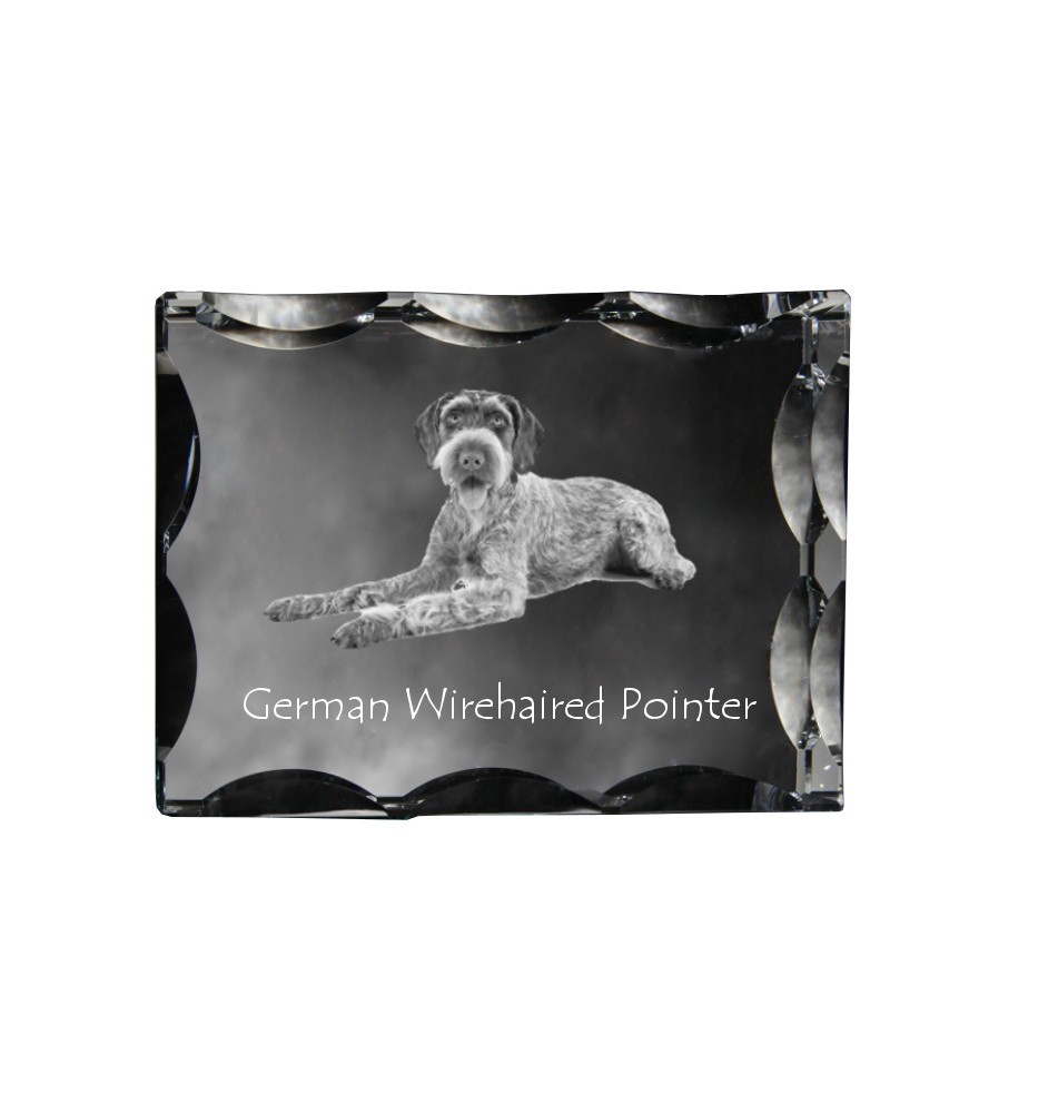 Deutsch Drahthaar - Kristall mit einem Hundebild, Glasstatuette mit einem Bild, einzigartiger Bilderrahmen der Marke Art-Dog