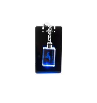 German Wirehaired Pointer - Crystal key ring with dog photo, illuminated key ring, unique gift by Art-Dog brand