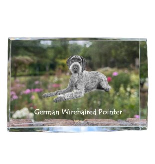 German Wirehaired Pointer - crystal with a picture of a dog, photo in glass, modern exhibition of Art-Dog brand photo