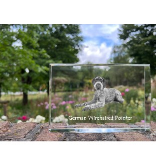 Deutsch Drahthaar - Kristall mit einem Hundebild, Bild im Glas, moderne Ausstellung des Art-Dog-Bildes.