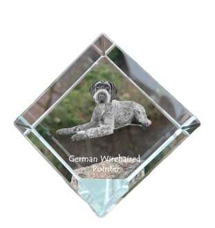 German Wirehaired Pointer - crystal cube with a photo, photo of a horse in crystal, cubic paperweight from Art-Dog brand