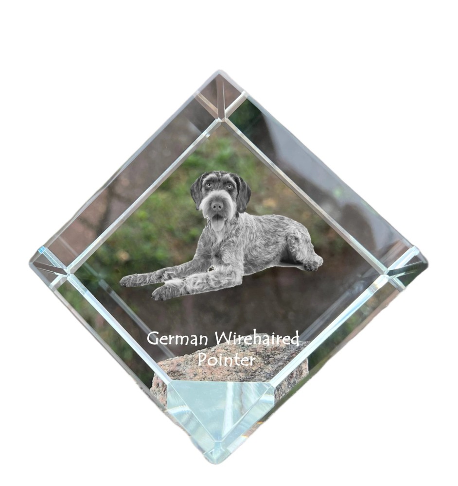 Chien d'arrêt allemand à poil dur, Braque allemand à poil dur - un cube de cristal avec une photo, une photo de cheval dans le cristal, un presse-papiers cubique de la marque Art-Dog