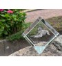 German Wirehaired Pointer - crystal cube with a photo, photo of a horse in crystal, cubic paperweight from Art-Dog brand