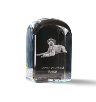 Deutsch Drahthaar - Kristallwürfel mit Bild, Hundebild im Kristall, sechseckiger Papierclip von Art-Dog.